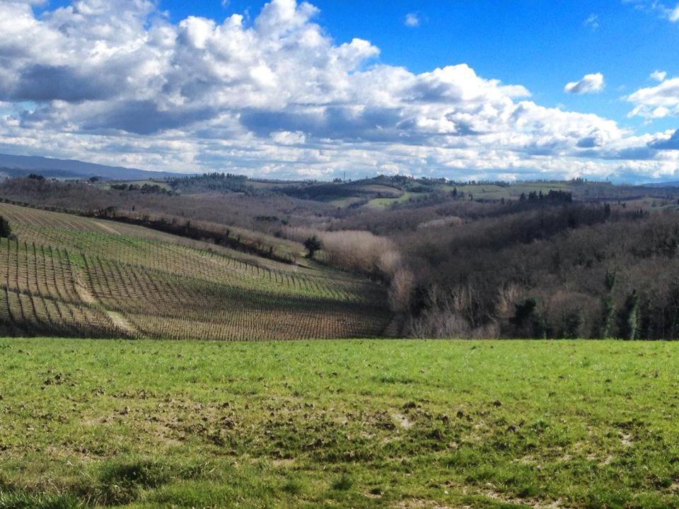 Agriturismo Il Torrione Lecchi Dış mekan fotoğraf